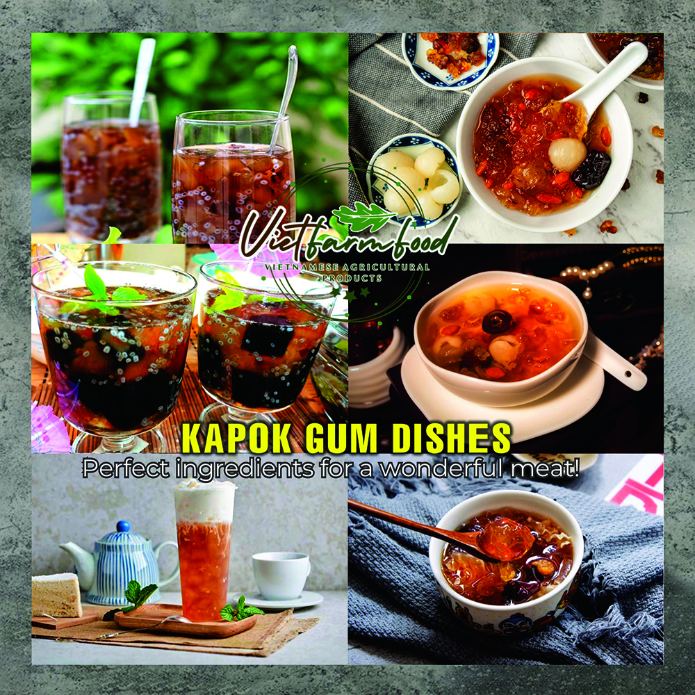 DRIED KAPOK (RESIN) GUM 5.29 Oz (150g) VIETFARMFOOD: Dried agricultural products with pure natural flavor. Used as ingredients for cooking; toppings, drinks, nutritious dishes, suitable for vegetarian