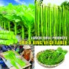 AGRICULTURAL PRODUCTS DRIED KING VEGETABLE mountain jelly celtuce Viet Farm Food natural ingredients processed into dishes 84 0938838553 4