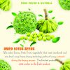 AGRICULTURAL PRODUCTS DRIED LOTUS SEEDS Viet Farm Food natural ingredients processed into dishes 84 0938838553 5