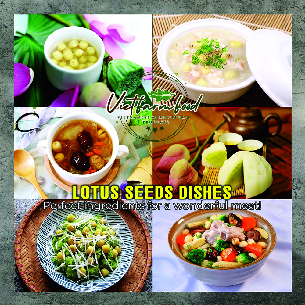 DRIED LOTUS SEEDS 5.29 Oz (150g) VIETFARMFOOD: Dried agricultural products with pure natural flavor. Used as ingredients for cooking; toppings, drinks, nutritious dishes, suitable for vegetarians