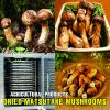 AGRICULTURAL PRODUCTS DRIED MATSUTAKE MUSHROOMS Viet Farm Food natural ingredients processed into dishes 84 0938838553 4
