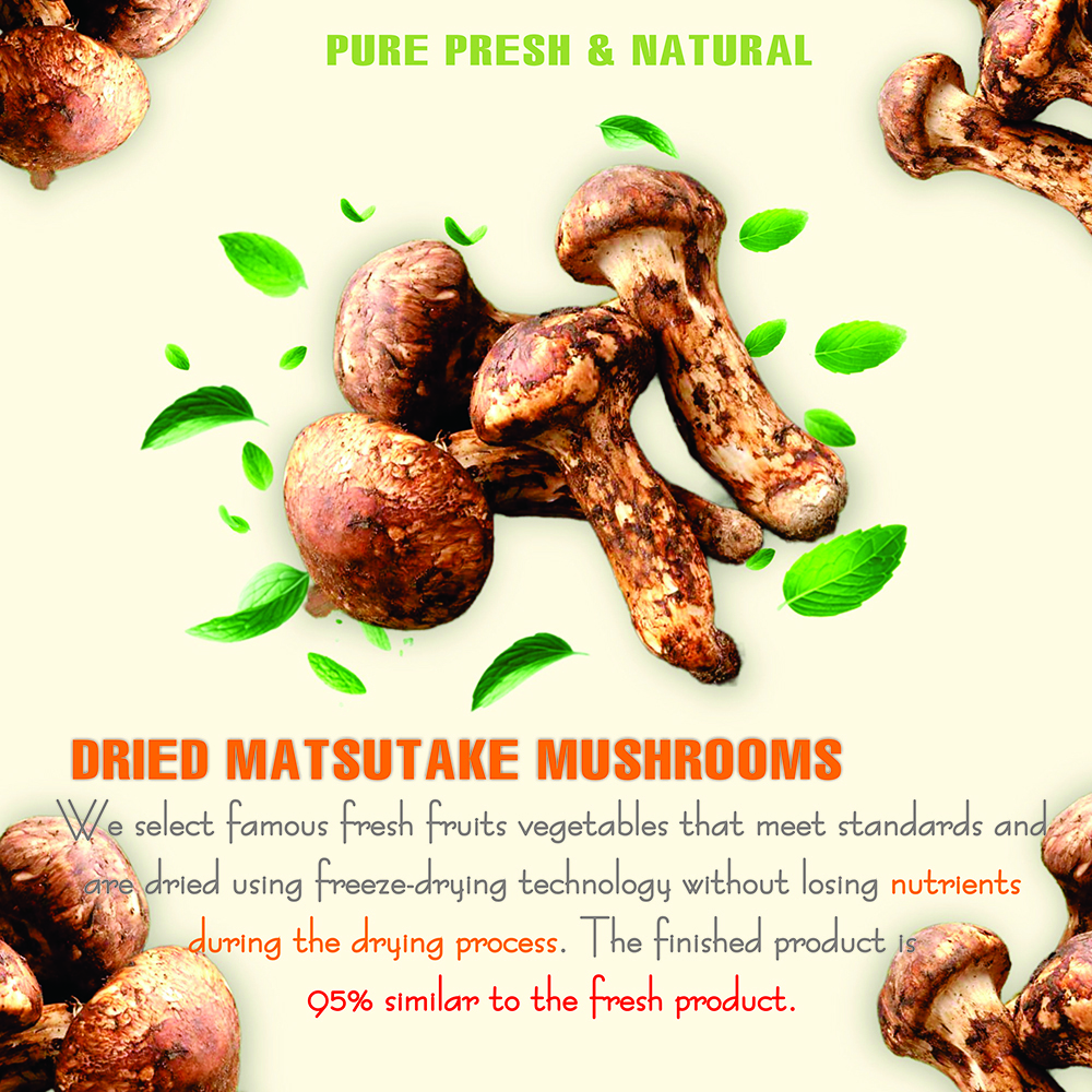 DRIED MATSUTAKE MUSHROOMS 2.47 Oz (70g) VIETFARMFOOD: Dried agricultural products with pure natural flavor. Used as cooking ingredients to prepare delicious, nutritious dishes,suitable for vegetarians