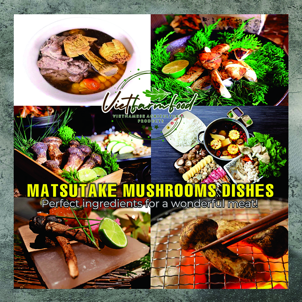 DRIED MATSUTAKE MUSHROOMS 2.47 Oz (70g) VIETFARMFOOD: Dried agricultural products with pure natural flavor. Used as cooking ingredients to prepare delicious, nutritious dishes,suitable for vegetarians