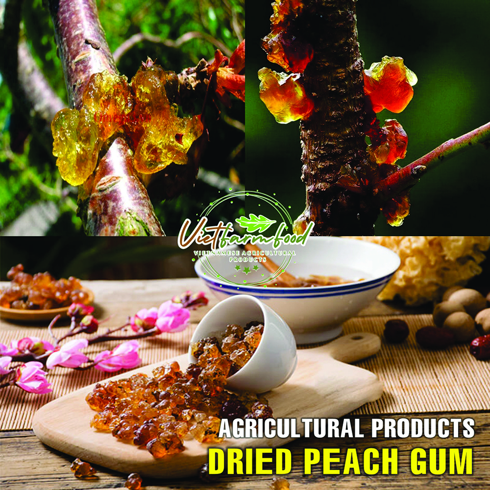 DRIED PEACH GUM 5.29 Oz (150g) VIETFARMFOOD: Dried agricultural products with pure natural flavor. Used as ingredients for cooking; toppings, drinks, nutritious dishes, suitable for vegetarians