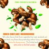 AGRICULTURAL PRODUCTS DRIED SHIITAKE MUSHROOMS Viet Farm Food natural ingredients processed into dishes 84 0938838553 5