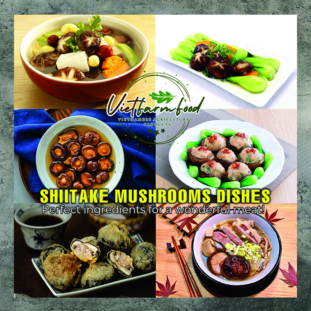 DRIED SHIITAKE MUSHROOMS 5.29 Oz (150g) VIETFARMFOOD: Dried agricultural products with pure natural flavor. Used as cooking ingredients to prepare delicious, nutritious dishes,suitable for vegetarians