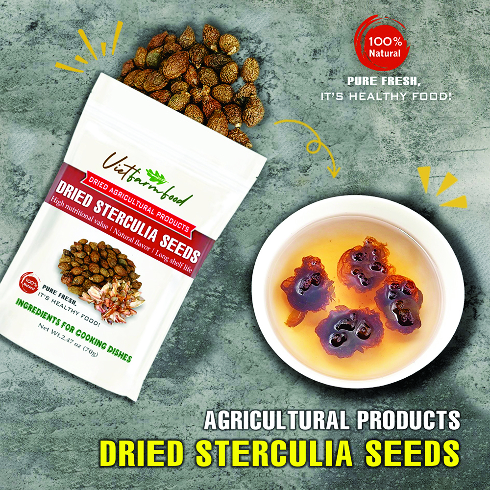 DRIED STERCULIA SEEDS 2.47 Oz (70g) VIETFARMFOOD: Dried agricultural products with pure natural flavor. Used as cooking ingredients to prepare delicious, nutritious dishes, suitable for vegetarians