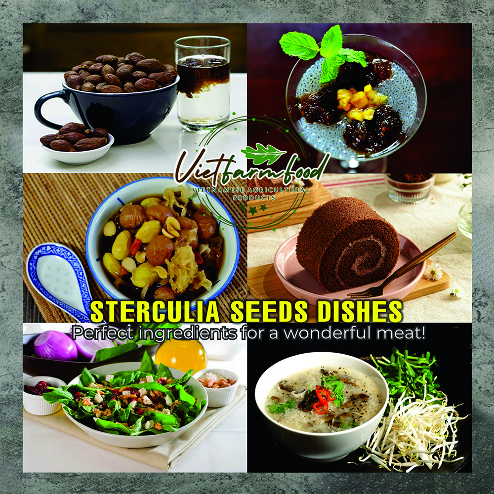 DRIED STERCULIA SEEDS 2.47 Oz (70g) VIETFARMFOOD: Dried agricultural products with pure natural flavor. Used as cooking ingredients to prepare delicious, nutritious dishes, suitable for vegetarians