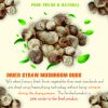 AGRICULTURAL PRODUCTS DRIED STRAW MUSHROOM BUDS Viet Farm Food natural ingredients processed into dishes 84 0938838553 5