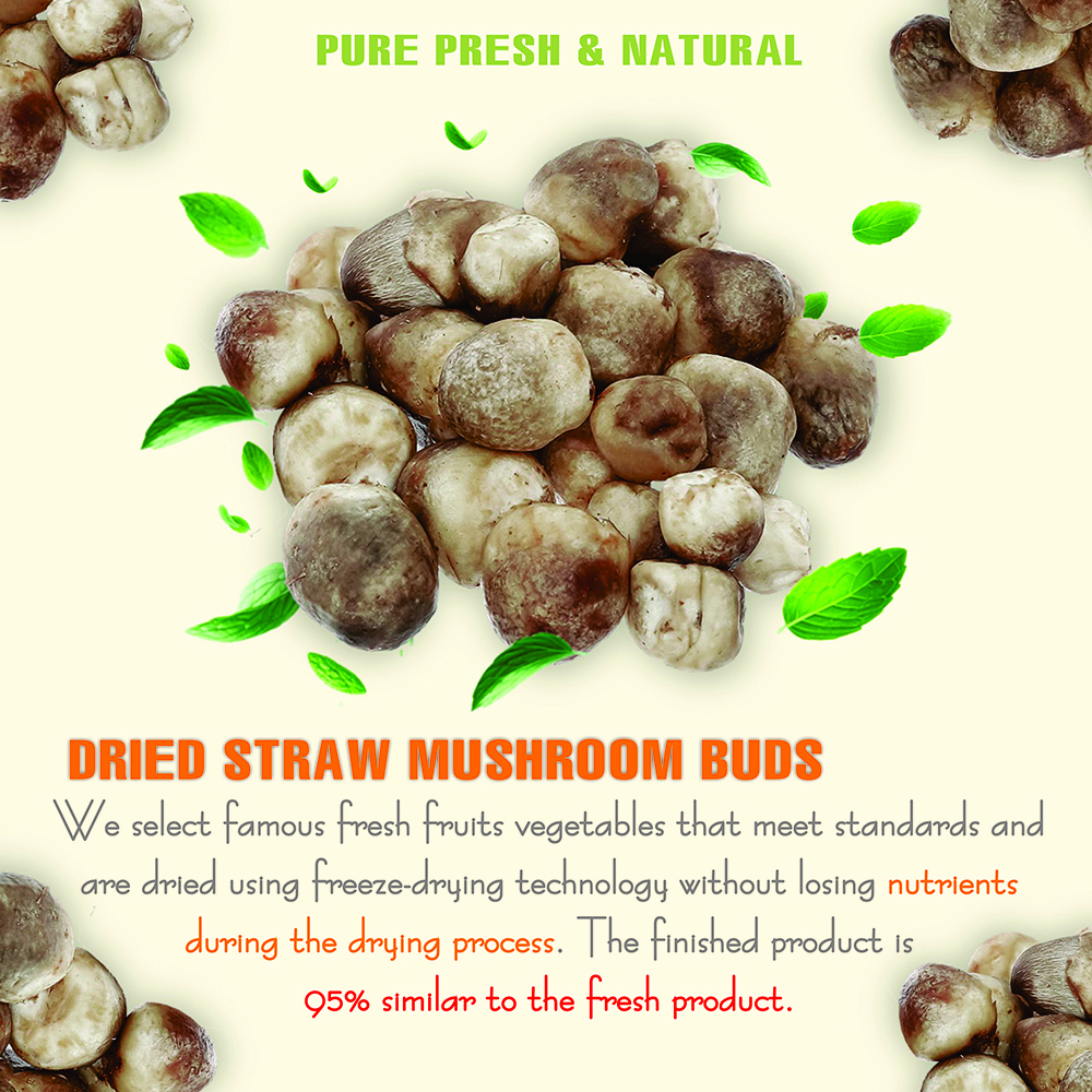 DRIED STRAW MUSHROOMS 2.47 Oz (70g) VIETFARMFOOD: Dried agricultural products with pure natural flavor. Used as cooking ingredients to prepare delicious, nutritious dishes, suitable for vegetarians