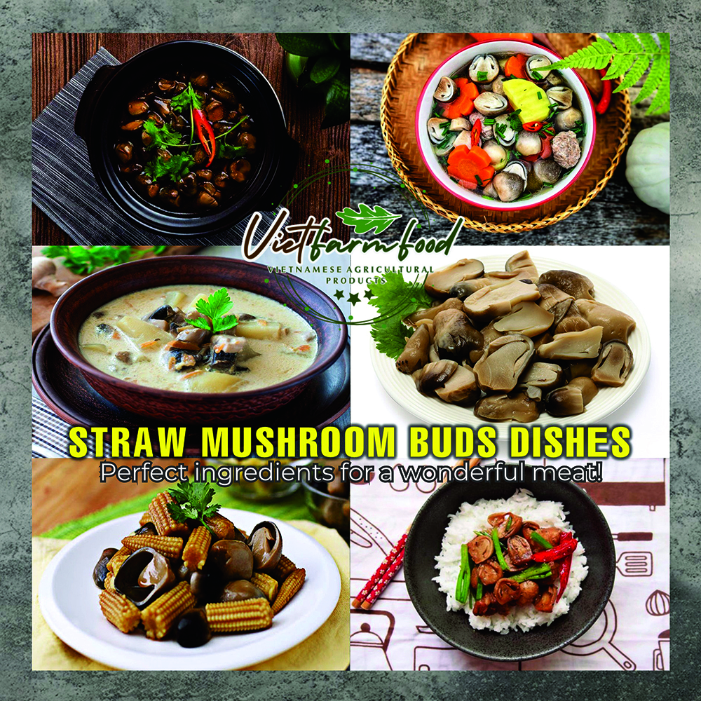 DRIED STRAW MUSHROOMS 2.47 Oz (70g) VIETFARMFOOD: Dried agricultural products with pure natural flavor. Used as cooking ingredients to prepare delicious, nutritious dishes, suitable for vegetarians