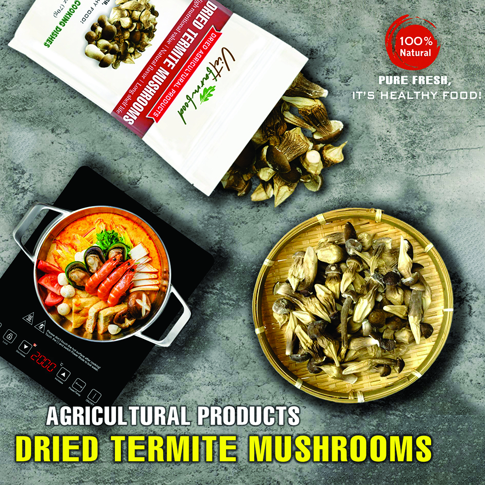 DRIED TERMITE MUSHROOMS 2.47 Oz (70g) VIETFARMFOOD: Dried agricultural products with pure natural flavor. Used as cooking ingredients to prepare delicious, nutritious dishes, suitable for vegetarians