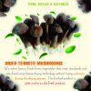 AGRICULTURAL PRODUCTS DRIED TERMITE MUSHROOMS collybia albuminosa Viet Farm Food natural ingredients processed into dishes 84 0938838553 5