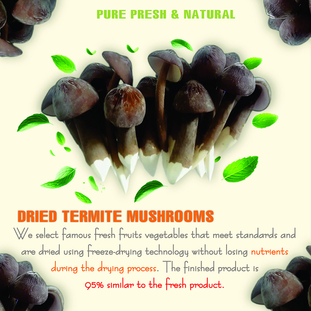 DRIED TERMITE MUSHROOMS 2.47 Oz (70g) VIETFARMFOOD: Dried agricultural products with pure natural flavor. Used as cooking ingredients to prepare delicious, nutritious dishes, suitable for vegetarians