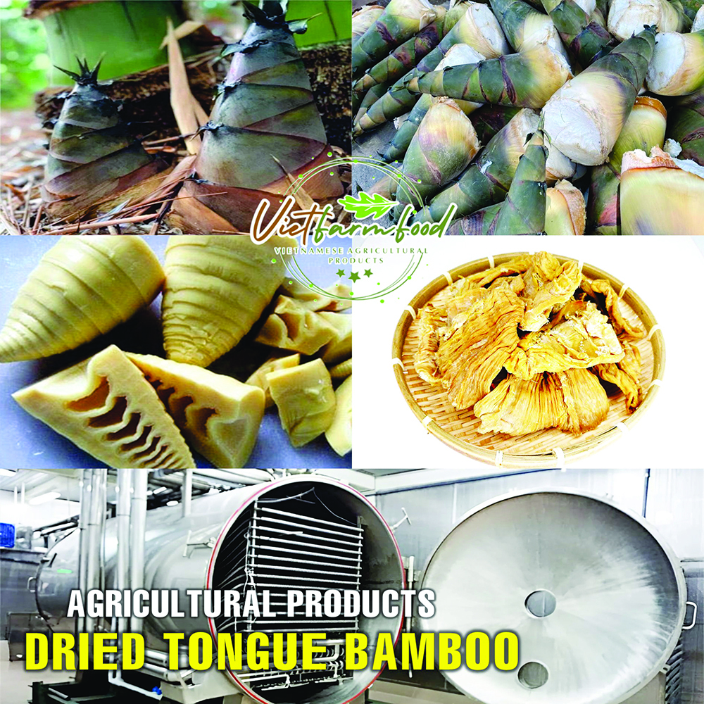 DRIED TONGUE BAMBOO 5.29 Oz (150g) VIETFARMFOOD: Dried agricultural products with pure natural flavor. Used as cooking ingredients to prepare delicious, nutritious dishes, suitable for vegetarians