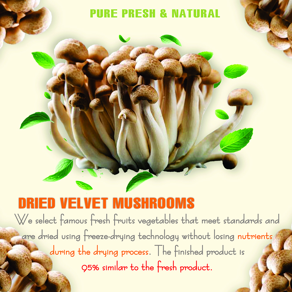 DRIED VELVET MUSHROOMS 5.29 Oz (150g) VIETFARMFOOD: Dried agricultural products with pure natural flavor. Used as cooking ingredients to prepare delicious, nutritious dishes, suitable for vegetarians
