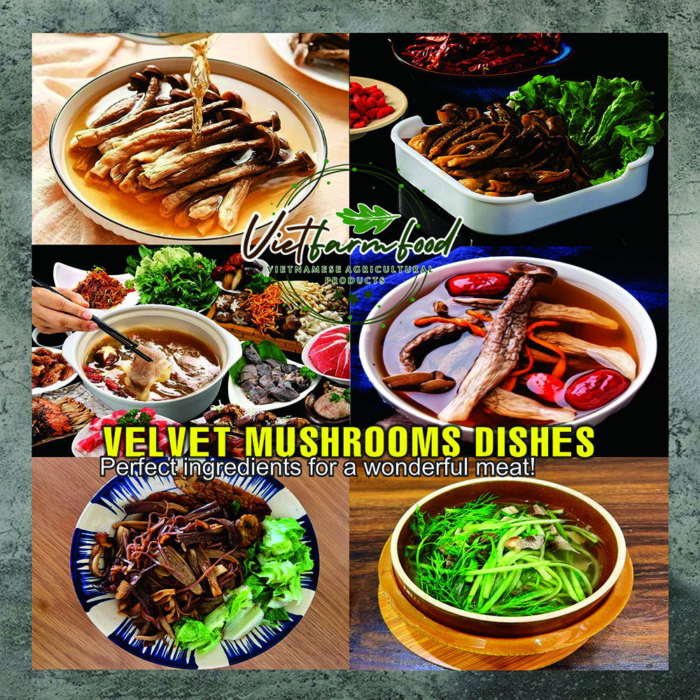 DRIED VELVET MUSHROOMS 5.29 Oz (150g) VIETFARMFOOD: Dried agricultural products with pure natural flavor. Used as cooking ingredients to prepare delicious, nutritious dishes, suitable for vegetarians