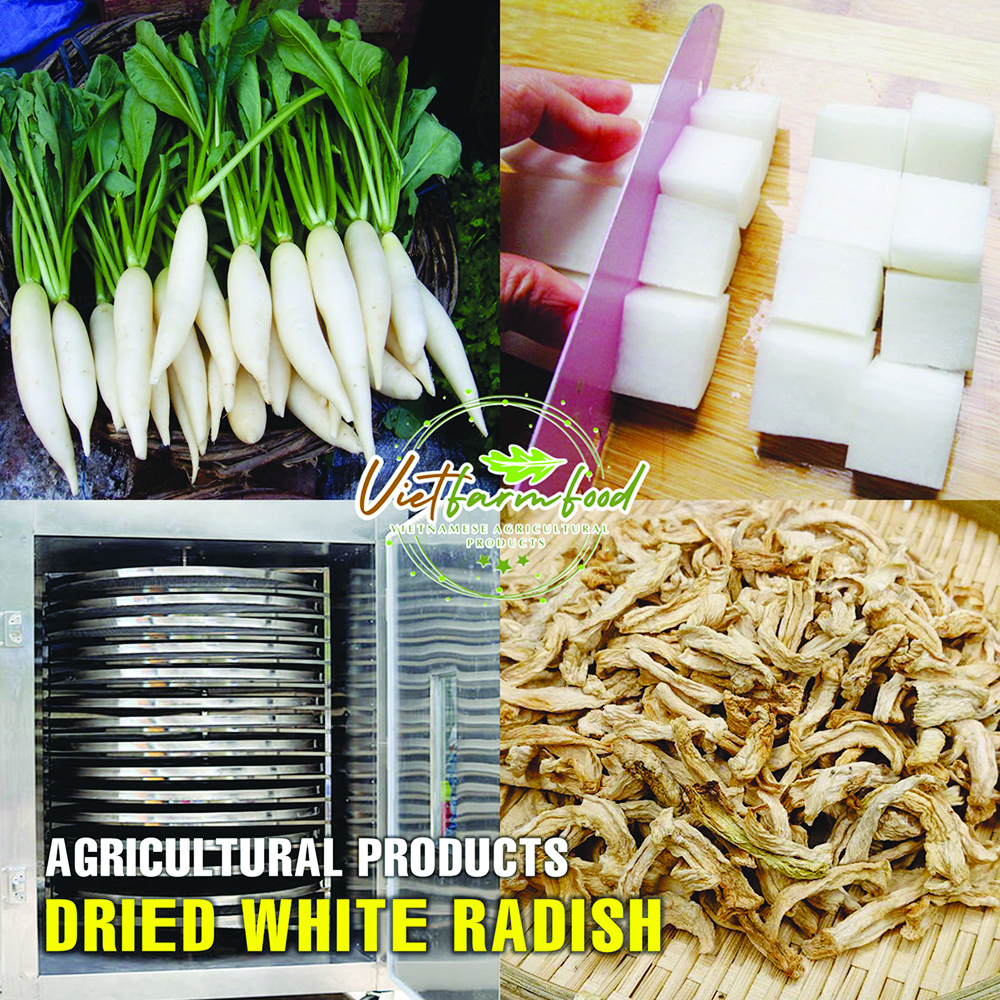 DRIED WHITE RADISH (DAIKON) 5.29 Oz (150g) VIETFARMFOOD: Dried agricultural products with pure natural flavor. Used as cooking ingredients to prepare delicious, nutritious dishes,suitable vegetarians