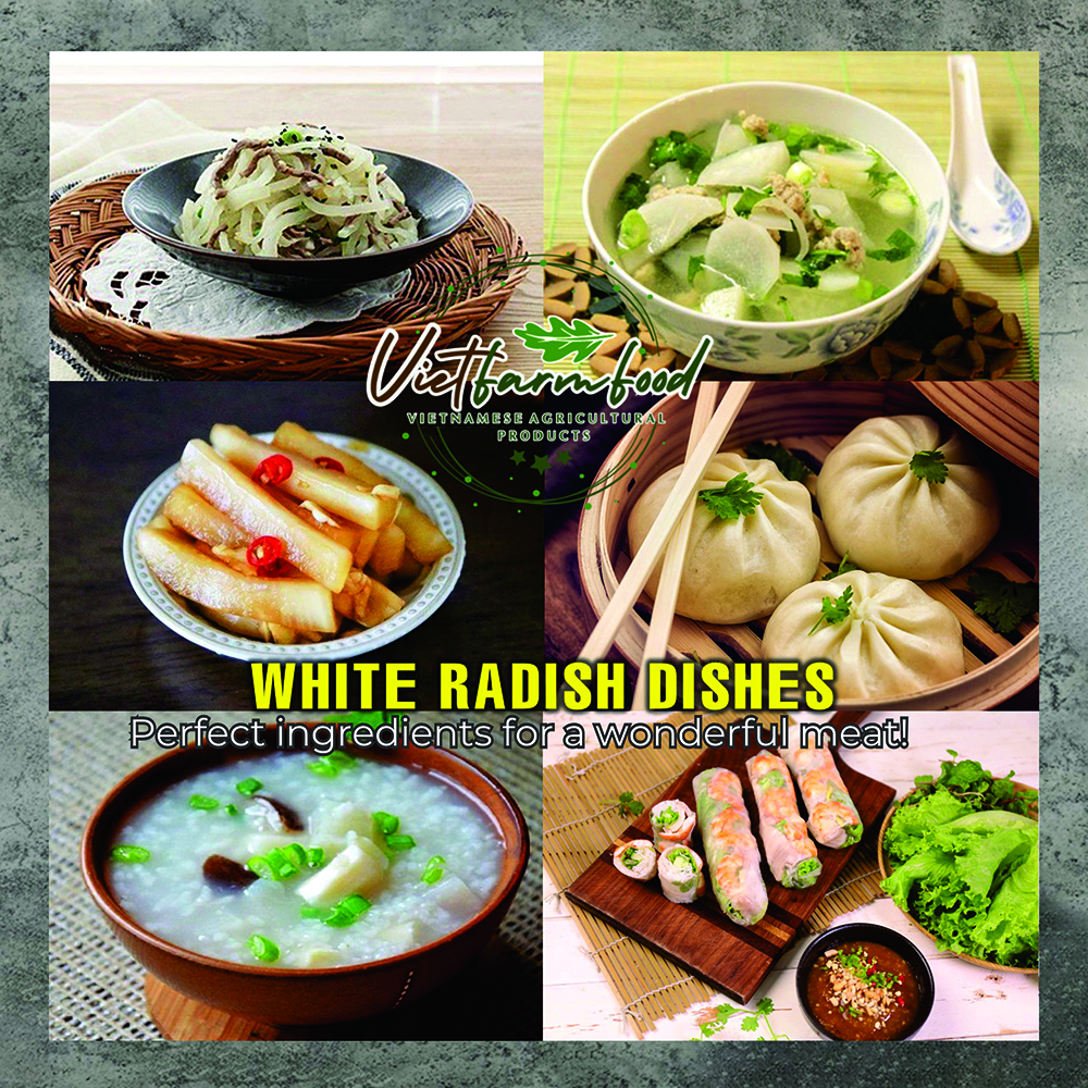 DRIED WHITE RADISH (DAIKON) 5.29 Oz (150g) VIETFARMFOOD: Dried agricultural products with pure natural flavor. Used as cooking ingredients to prepare delicious, nutritious dishes,suitable vegetarians