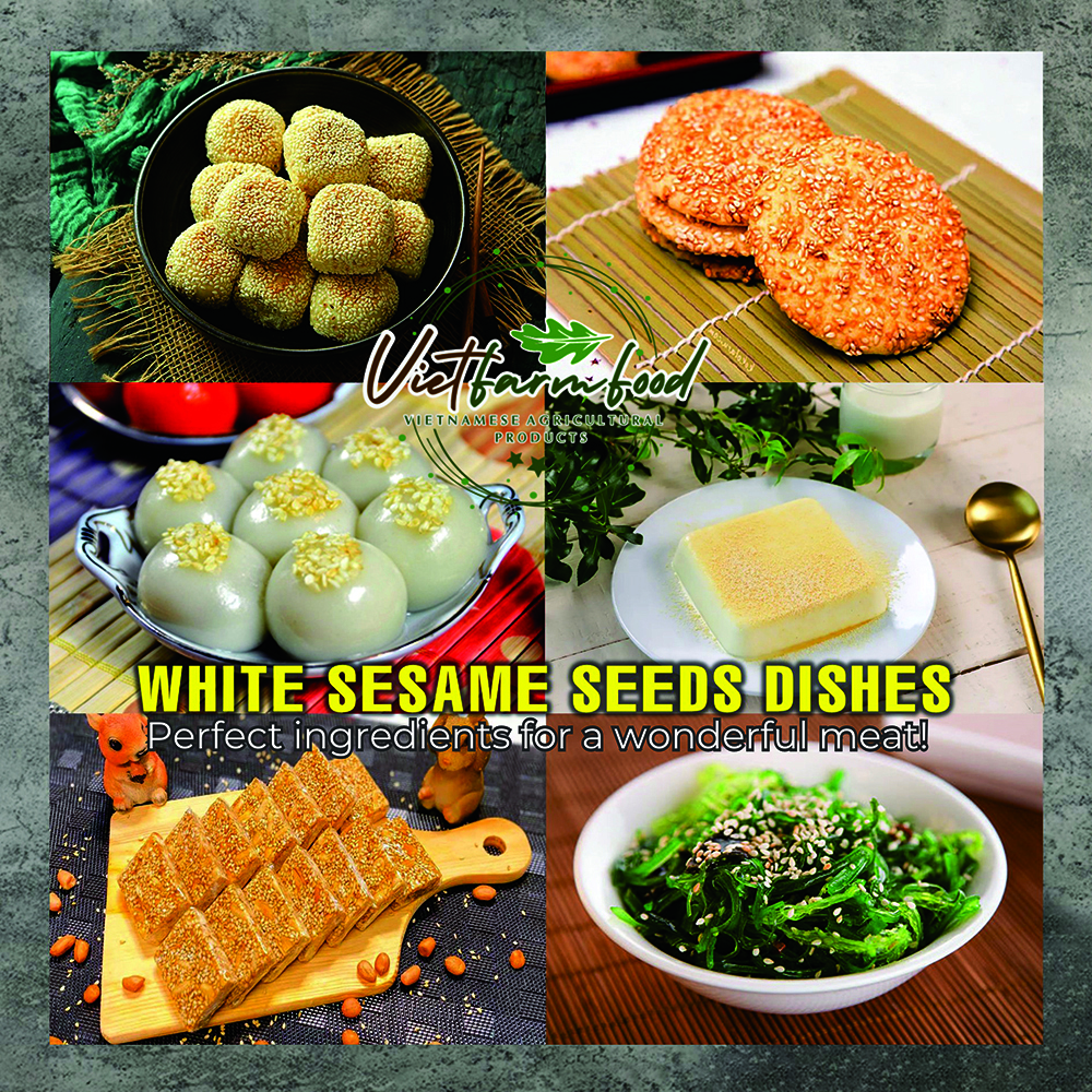 DRIED WHITE SESAME SEEDS 5.29 Oz (150g) VIETFARMFOOD: Dried agricultural products with pure natural flavor. Used as ingredients for cooking; toppings, drinks, nutritious dishes,suitable for vegetarian