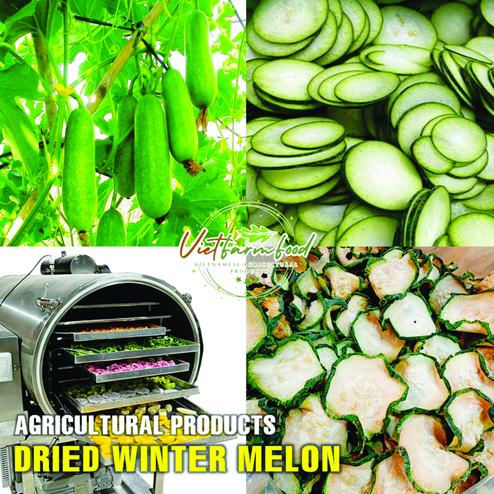DRIED WINTER MELON 5.29 Oz (150g) VIETFARMFOOD: Dried agricultural products with pure natural flavor. Used as ingredients for cooking; toppings, drinks, nutritious dishes, suitable for vegetarians