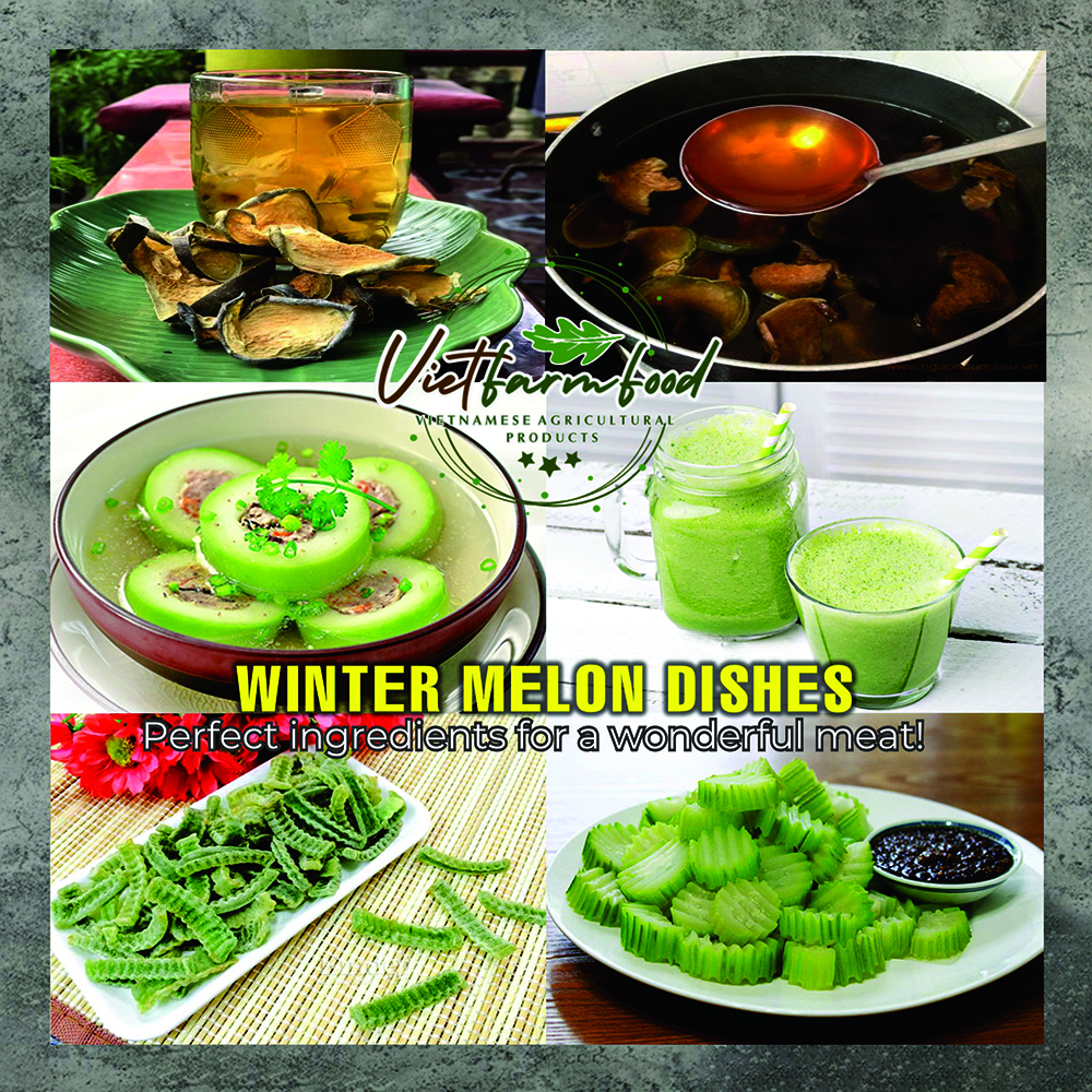 DRIED WINTER MELON 5.29 Oz (150g) VIETFARMFOOD: Dried agricultural products with pure natural flavor. Used as ingredients for cooking; toppings, drinks, nutritious dishes, suitable for vegetarians