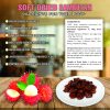 SOFT DRIED RAMBUTAN 5.29oz (150g) VIETFARMFOOD: Convection dried fruit with a little sugar, salt, natural sweetness, soft when chewed. Suitable for snack, topping, healthy dessert for all ages 6 SOFT DRIED RAMBUTAN CONVECTION DRIED FRUIT Viet Farm Food Agricultural Products 84 0938838553 5