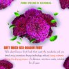 SOFT DRIED RED DRAGON FRUIT CONVECTION DRIED FRUIT Viet Farm Food Agricultural Products 84 0938838553 4