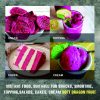 SOFT DRIED RED DRAGON FRUIT CONVECTION DRIED FRUIT Viet Farm Food Agricultural Products 84 0938838553 6