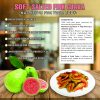 SOFT SPICY SALTED PINK GUAVA 5.29oz (150g) VIETFARMFOOD: Convection dried fruit with little sugar, salt, chili natural sweet, soft when chewed. Suitable for snack, topping, healthy dessert for all age 6 SOFT DRIED SPICY SALTED CHILLI PINK GUAVA FLOWERS CONVECTION DRIED FRUIT Viet Farm Food Agricultural Products 84 0938838553 5
