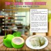 SOFT DRIED YOUNG COCONUT 5.29oz (150g) VIETFARMFOOD: Convection dried fruit with a little sugar, salt, natural sweetness, soft when chewed. Suitable for snack, healthy dessert for all ages 6 SOFT DRIED YOUNG COCONUT CONVECTION DRIED FRUIT Viet Farm Food Agricultural Products 84 0938838553 5