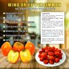 WIND DRIED PERSIMMON 5.29oz (150g) VIETFARMFOOD: Convection dried fruit with a little sugar, salt, natural sweetness, soft when chewed. Suitable for snack, healthy dessert for all ages 6 SOFT WIND DRIED PERSIMMON CONVECTION DRIED FRUIT Viet Farm Food Agricultural Products 84 0938838553 5