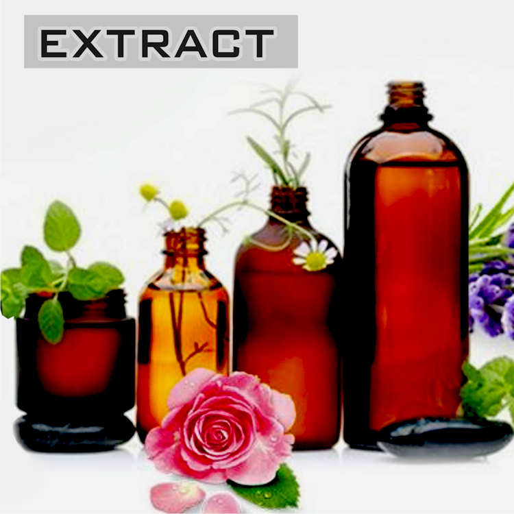 Home 15 12 VIETFARMFOOD AGRICULTURAL PRODUCTS PURE FRESH HEALTHY FOOD EXTRACT 1 11 750x750 1