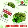 FREEZE DRIED SPICES FISH MINT LEAVE houttuynia cordata fish leaf Vietnamese Viet Farm Food Agricultural Products 84 0938838553 3