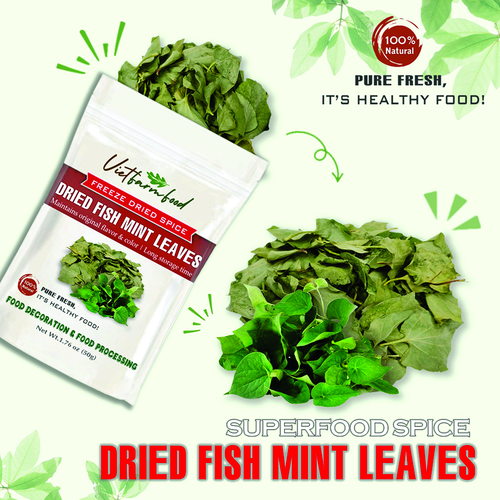 DRIED FISH MINT LEAVES 1.76 Oz (50g) VIETFARMFOOD: Natural pure, convection dried seasoning made from real vegetable perfect for adding flavor to any meal, from cooking, baking, salad, soup, sauce