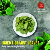 FREEZE DRIED SPICES FISH MINT LEAVE houttuynia cordata fish leaf Vietnamese Viet Farm Food Agricultural Products 84 0938838553 4