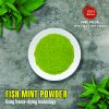 FREEZE DRIED SPICES FISH MINT LEAVES POWDER houttuynia cordata fish leaf Viet Farm Food Agricultural Products 84 0938838553 4