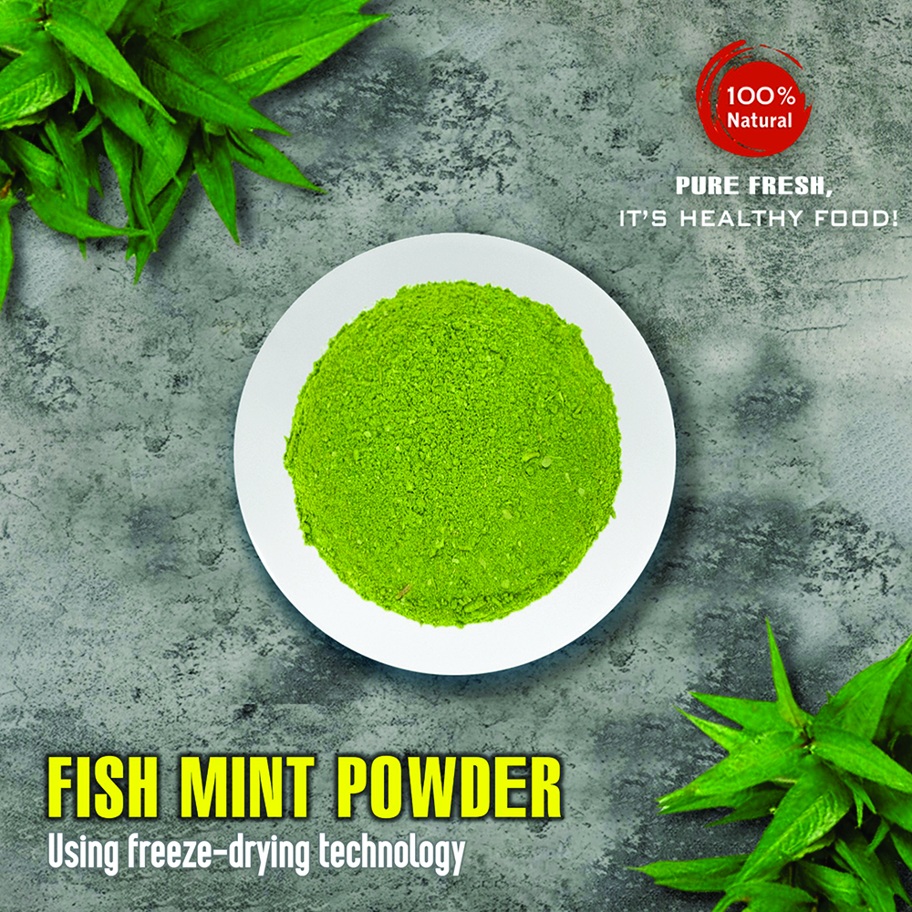 FISH MINT POWDER 2.47 Oz (70g) VIETFARMFOOD: Natural pure, convection dried seasoning made from real vegetable perfect for adding flavor to any meal, from cooking, baking, salad, soup, sauce