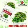 FREEZE DRIED SPICES LAKSA LEAVES persicaria odorata hot mint Vietnamese Viet Farm Food Agricultural Products 84 0938838553 3