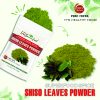 FREEZE DRIED SPICES SHISO LEAVES POWDER Vietnamese balm crested late summer mint Viet Farm Food Agricultural Products 84 0938838553 3