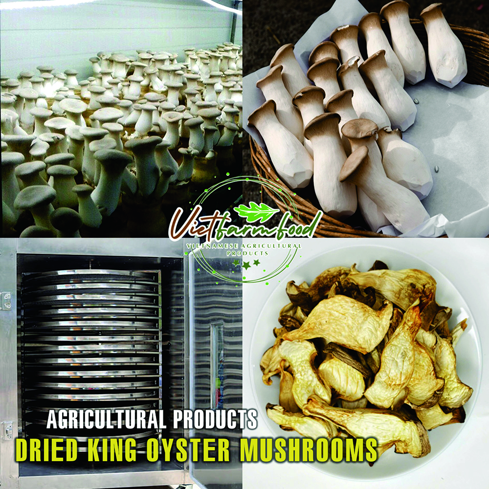 DRIED KING OYSTER MUSHROOM 5.29 Oz (150g) VIETFARMFOOD: Dried agricultural products with pure natural flavor. Used as cooking ingredient to prepare delicious, nutritious dish, suitable for vegetarian