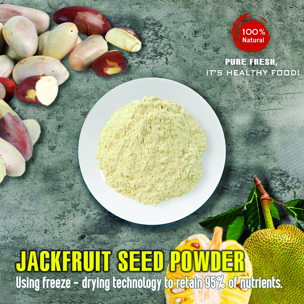 JACKFRUIT SEED POWDER 5.29 Oz (150g) VIETFARMFOOD: Pure freeze-dried fruit powder, made from real fruit with no added sugar - Perfect for daily nutrition to keep your body full of vitality.